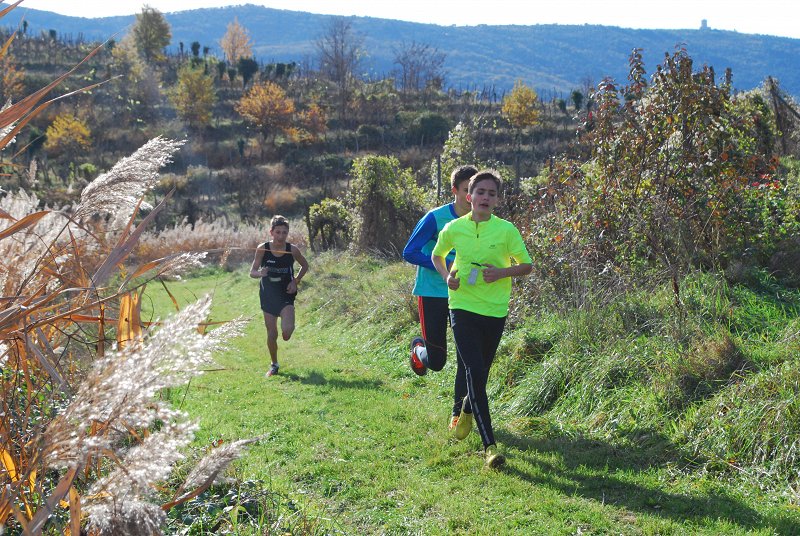 Kros Biljenski 2015 089